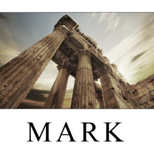 Mark Study Guide